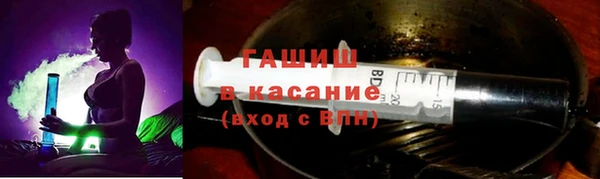 индика Верхний Тагил